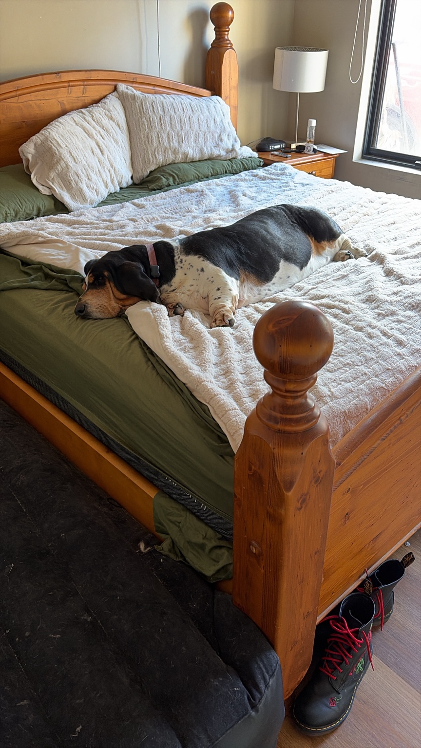 Buffy — making herself comfortable