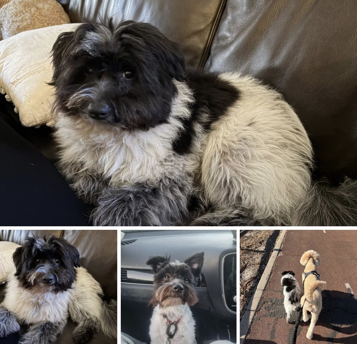 Hickory — adventures together