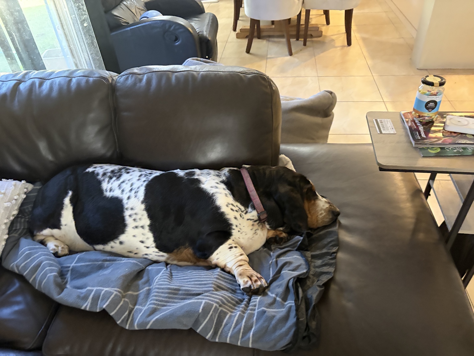 Buffy — sofa time