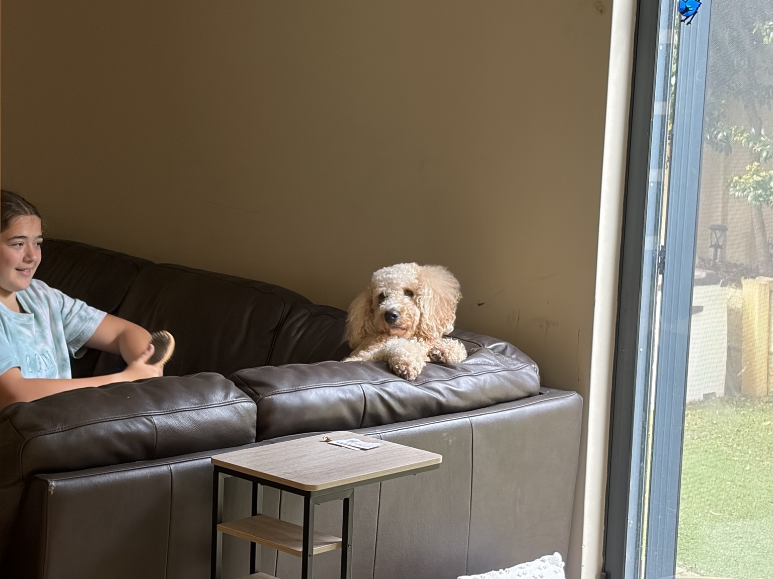 Person and Bonnie on the sofa