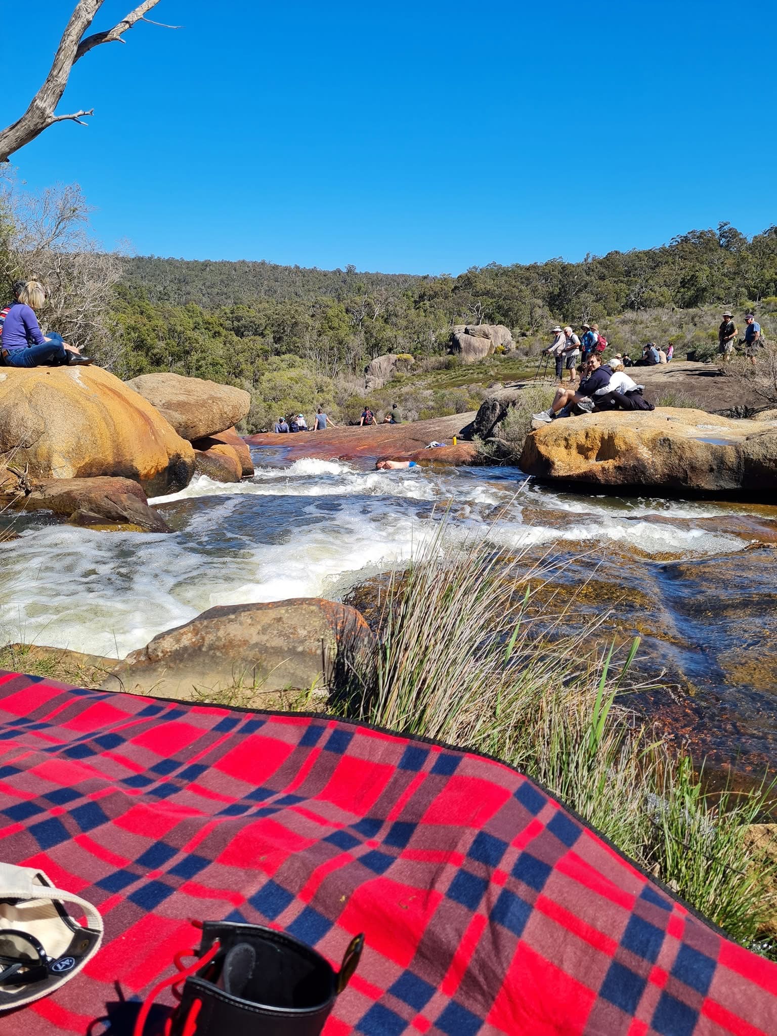 Hovea Falls — photo 4