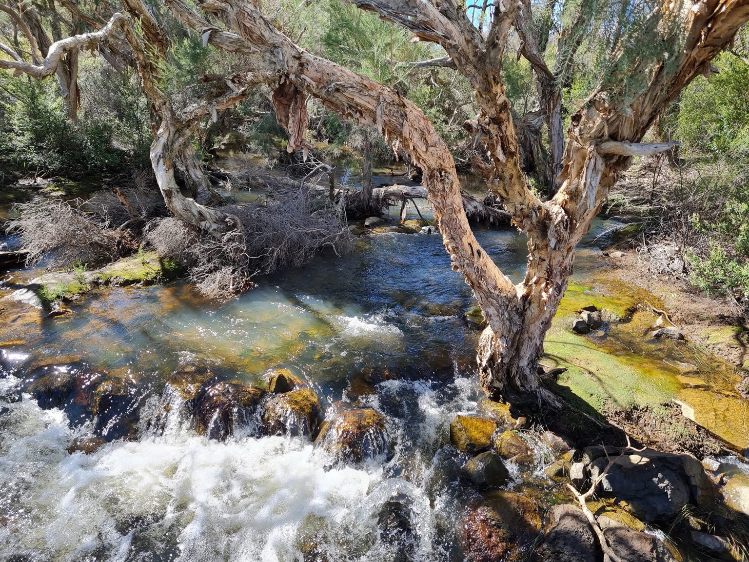 Parkerville cascades — photo 3