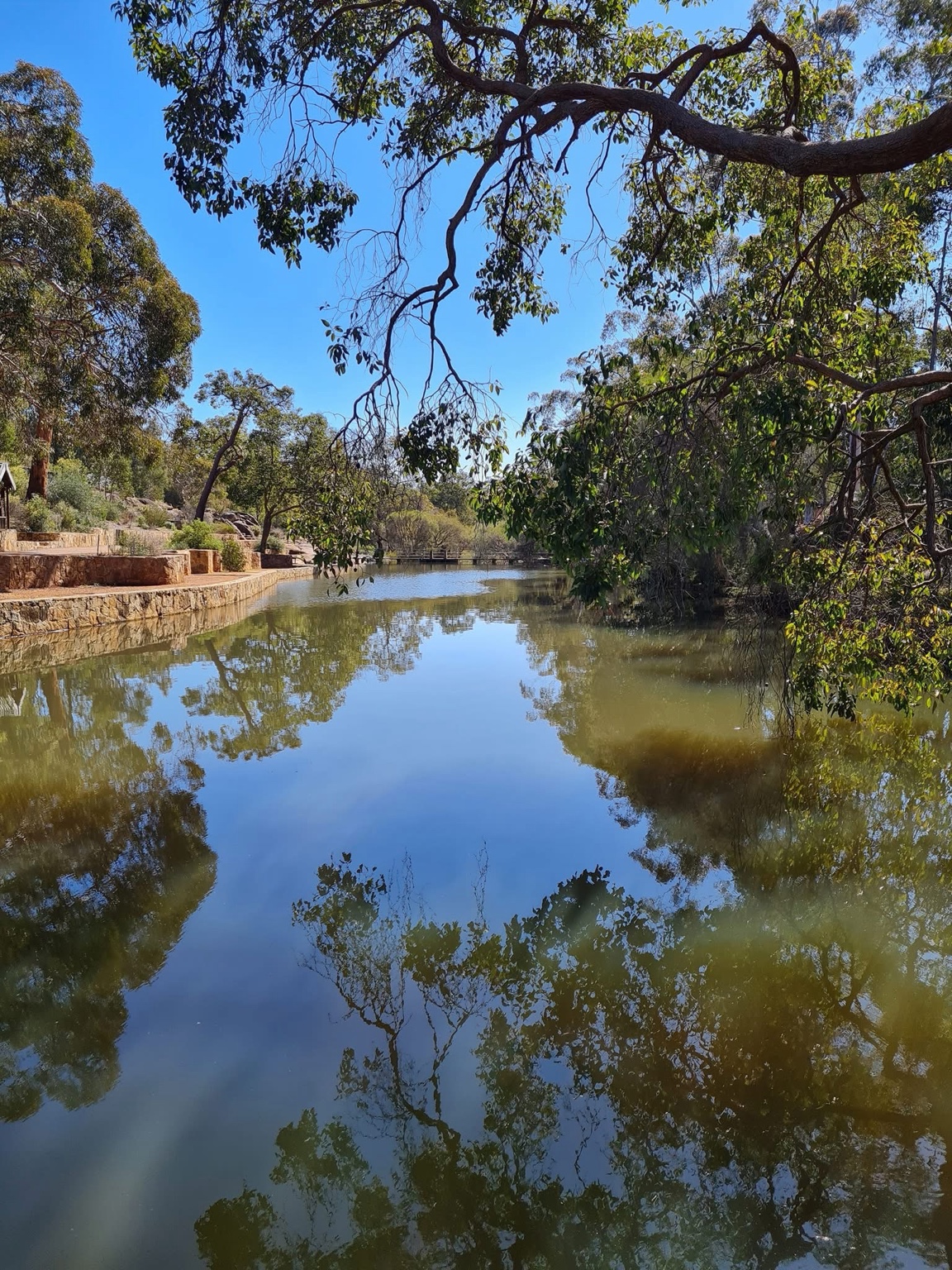 Hovea Falls — photo 1