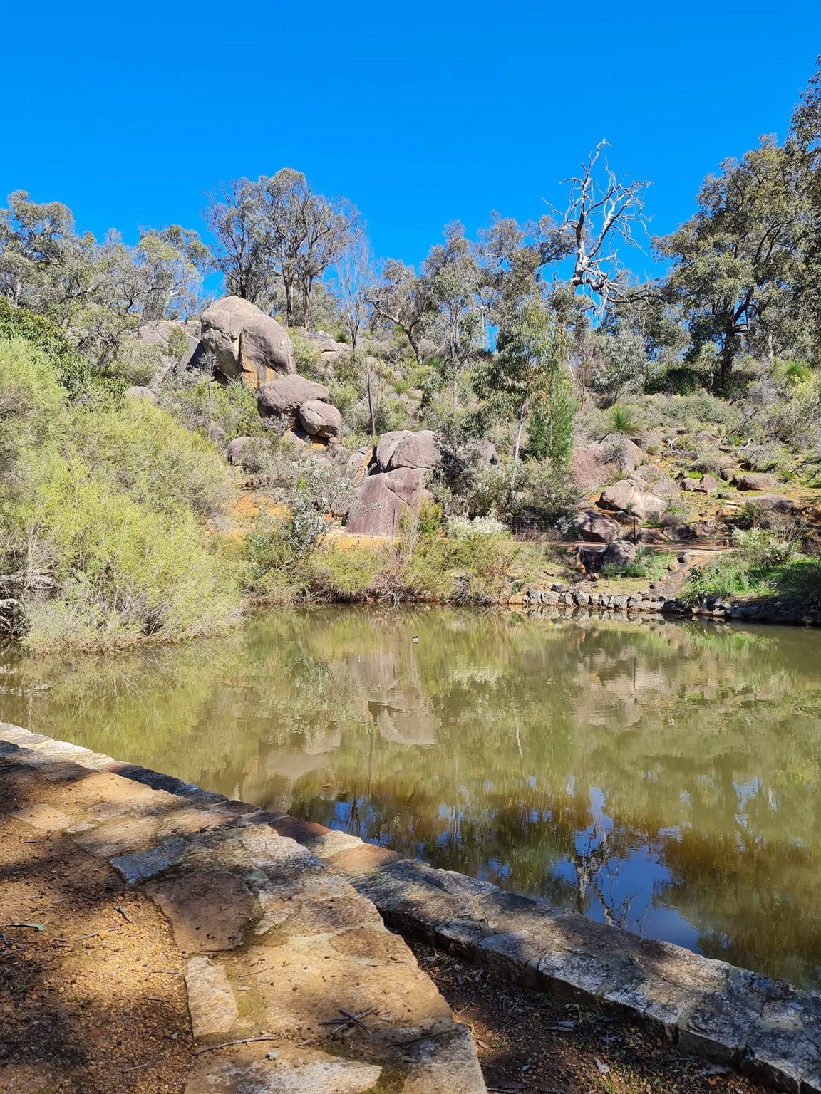 Hovea Falls — photo 2