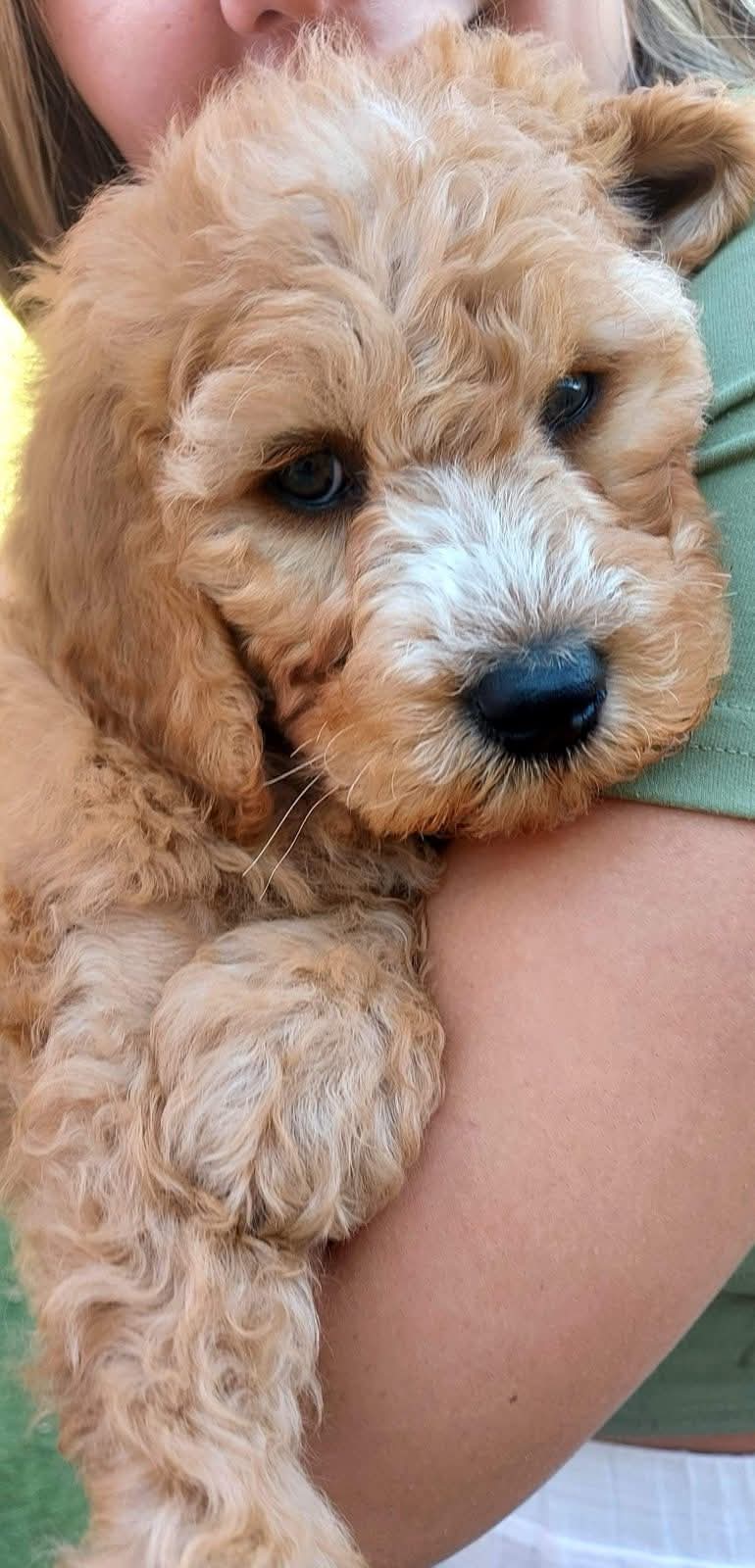 Those eyes