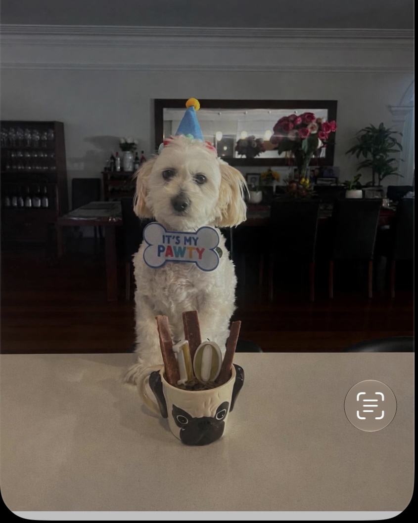 Reggie’s 10th birthday